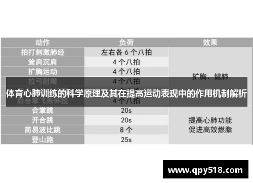 体育心肺训练的科学原理及其在提高运动表现中的作用机制解析